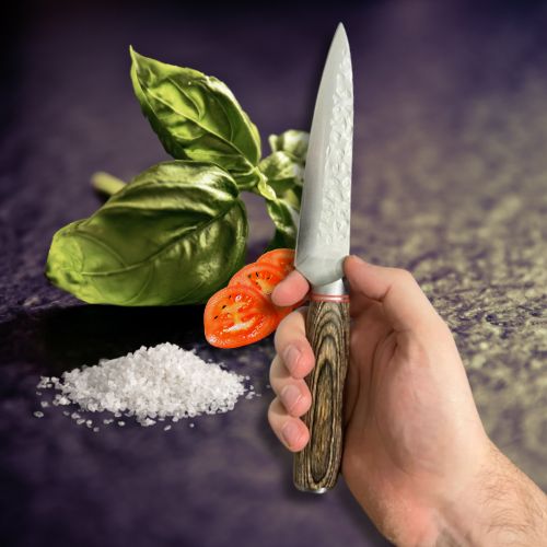 couteau pour cuisine  decoupe fine 