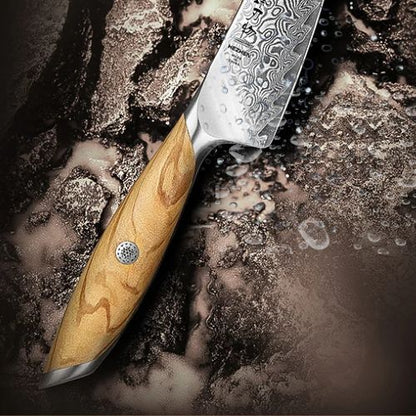 couteau_pour_cuisine_lame_en_damas_depose_sur_une_roche_Mijot_Moi