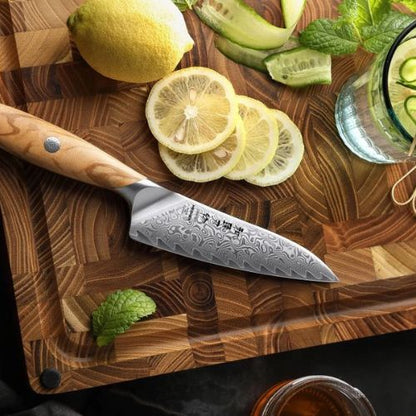 couteau_pour_cuisine_tranche_de_citron